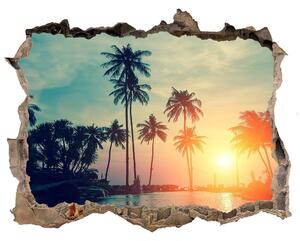 Díra 3D ve zdi nálepka Západ slunce palmy nd-k-118937012