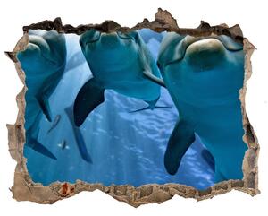 Díra 3D fototapeta na stěnu Tři delfíni nd-k-119968160
