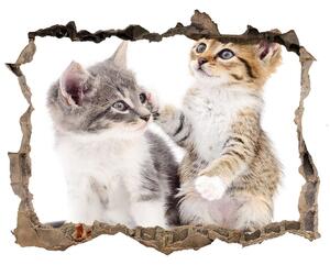 Díra 3D fototapeta nálepka Dvě malé kočky nd-k-120060855