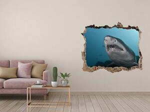 Díra 3D fototapeta nálepka Velký žralok nd-k-120086004