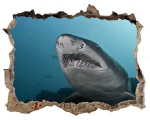 Díra 3D fototapeta nálepka Velký žralok nd-k-120086004