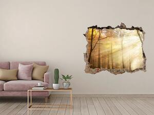 Díra 3D ve zdi na stěnu Mlha v lese nd-k-120624836