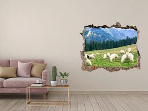 Díra 3D ve zdi nálepka Ovce v Tatrách nd-k-121151461