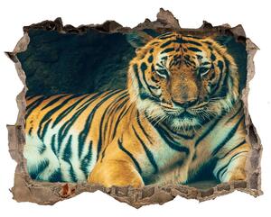 Díra 3D fototapeta nálepka Tygr v jeskyni nd-k-121530926