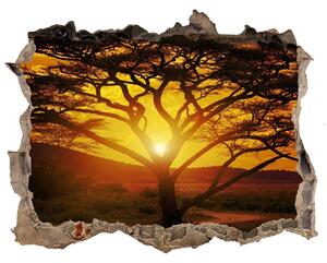 Díra 3D ve zdi nálepka Západ slunce Afrika nd-k-12172283