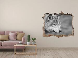 Díra 3D fototapeta na stěnu Šedý vlk nd-k-125421387