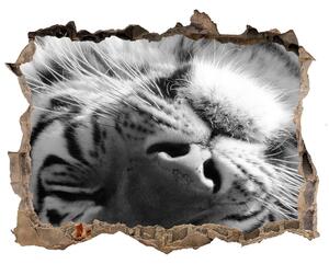 Díra 3D fototapeta nálepka Spící tygr nd-k-125000206