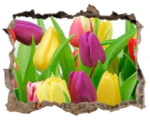 Samolepící nálepka na zeď Barevné tulipány nd-k-12652067