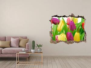 Samolepící nálepka na zeď Barevné tulipány nd-k-12652067
