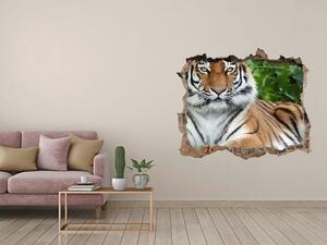 Díra 3D fototapeta nálepka Sibiřský tygr nd-k-129133169
