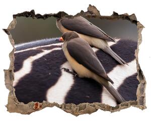 Díra 3D fototapeta nálepka Ptáci a zebra nd-k-133933149