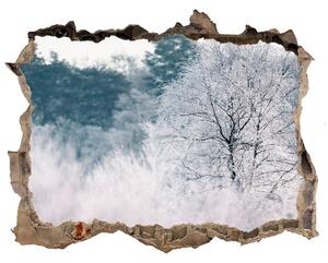 Díra 3D ve zdi nálepka Stromy zima nd-k-142936706