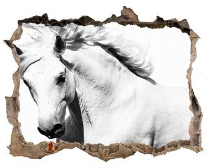 Fototapeta díra na zeď Bílý kůň nd-k-14270832