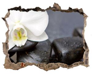Samolepící nálepka fototapeta Orchidej nd-k-143014442