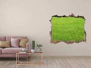 Díra 3D ve zdi nálepka Zelená tráva nd-k-141153462