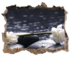 Samolepící nálepka fototapeta Květ višně nd-k-14431033