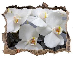 Samolepící nálepka fototapeta Orchidej nd-k-143985624