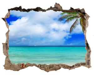 Díra 3D ve zdi nálepka Karibské ostrovy pláž nd-k-143577240