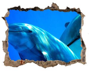 Díra 3D fototapeta nástěnná Dva delfíni nd-k-16277956