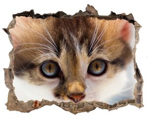 Díra 3D fototapeta nástěnná Nálepka malá kočka nd-k-162385240