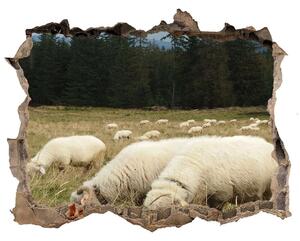 Díra 3D fototapeta nálepka Pasící se ovce nd-k-197671747