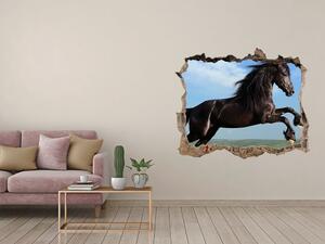 Díra 3D fototapeta na stěnu Černý kůň na louce nd-k-26473191