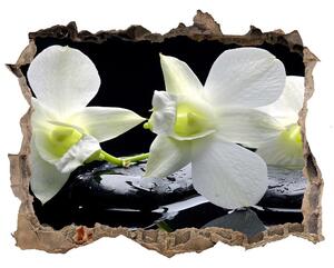 Samolepící nálepka fototapeta Orchidej nd-k-28908662