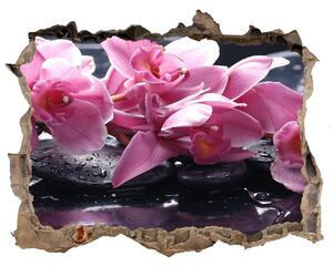 Samolepící nálepka na zeď Růžová orchidej nd-k-28903356
