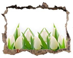 Samolepící nálepka fototapeta Bílé tulipány nd-k-30153186