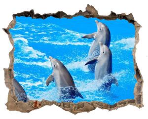 Díra 3D fototapeta na stěnu nálepka Delfíni nd-k-39687572