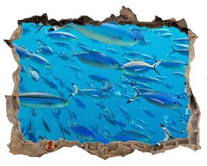 Díra 3D fototapeta nálepka Korálové ryby nd-k-39421860