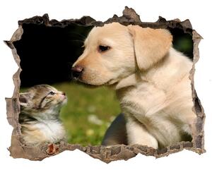 Díra 3D fototapeta nálepka Pes a kočka na louce nd-k-38411802