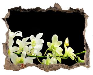 Samolepící nálepka fototapeta Orchidej nd-k-4005190