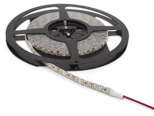 PHENOM LED pásek 120 LED/m, 5m, 3000K teplá bílá, IP20