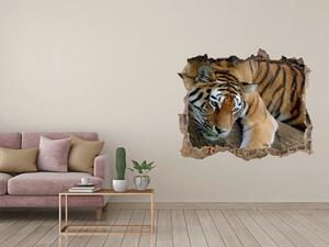 Díra 3D fototapeta nálepka Tygr na stromě nd-k-4289086