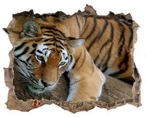 Díra 3D fototapeta nálepka Tygr na stromě nd-k-4289086