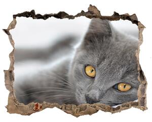 Díra 3D fototapeta nálepka Šedá kočka nd-k-43951156