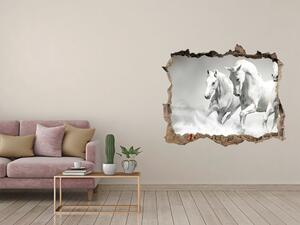 Díra 3D fototapeta na stěnu Bílí koně nd-k-44040199