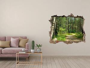 Díra 3D ve zdi nálepka Stezka v lese nd-k-4509873