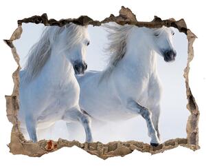Díra 3D fototapeta na stěnu Dva koně ve sněhu nd-k-46568530