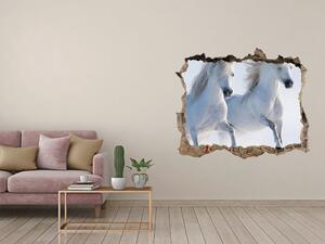 Díra 3D fototapeta na stěnu Dva koně ve sněhu nd-k-46568530