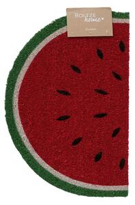 Vnitřní rohožka Melone, 60x40 cm