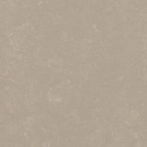 FORBO Marmoleum solid concrete Fossil 3708 - 2 bm
