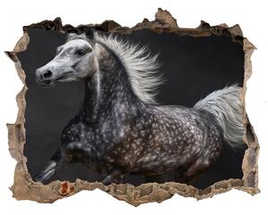Díra 3D fototapeta na stěnu Šedý arabský kůň nd-k-49747605