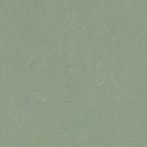 FORBO Marmoleum solid concrete Pine forest 3750 - 2 bm