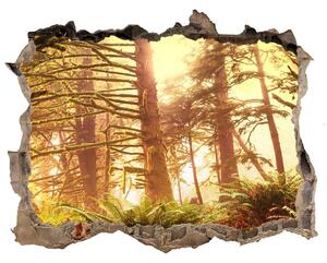 Díra 3D ve zdi nálepka Deštný prales nd-k-49624439