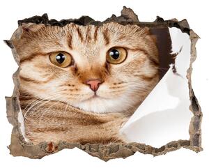 Díra 3D fototapeta na stěnu nálepka Kočka nd-k-52539512