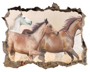Díra 3D fototapeta nálepka Koně ve cvalu nd-k-56781097