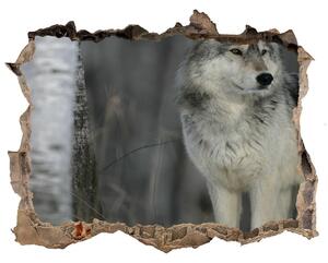 Díra 3D fototapeta na stěnu Šedý vlk nd-k-57875164