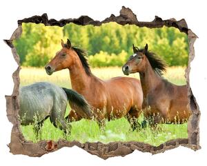 Díra 3D fototapeta nálepka Koně ve cvalu nd-k-58845191